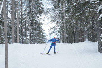 Skier winter forest. Nature landscape.