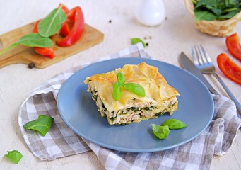 Lasagna with salmon and spinach on a gray clay plate on a light concrete background. Italian food. Pasta Recipes