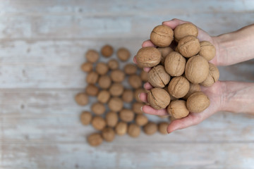 Hands holding whole walnuts on rustic old wooden table