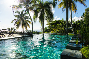 Infinity pool in tropical paradise
