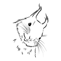 vector illustration of a smiling squirrel