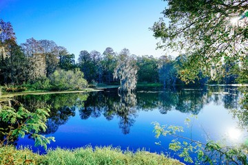 Hillsborough river at Tampa, Florida 