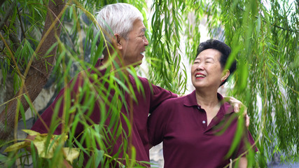 Fototapeta premium Happy retired Asian elder couple laughing under green willow tree