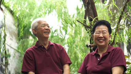 Talking Asian elder couple sitting in park under green willow tree