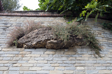 rock wall in Piedmont