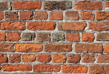 Fototapeta premium red brick texture background