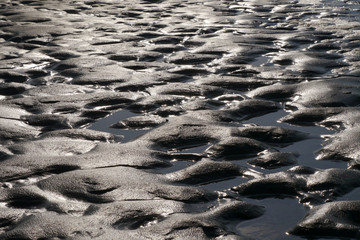 Watt im Gegenlicht
