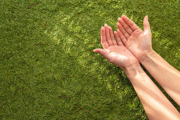 Background green pine needle lining. Hands on a green background. The lights of a sun. Ecology concept.
