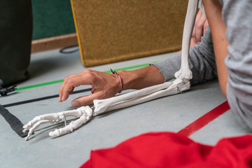 dancer hand, anatomical skeleton of the arm along