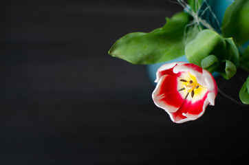 tulipan, kwiat, walentynki, dzień kobiet, wazon, zapach, pyłek, 