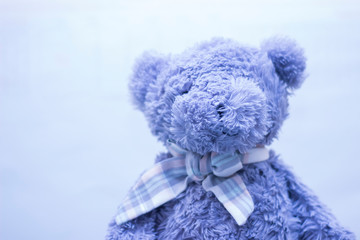 Soft toy, teddy bear Teddy on the white background