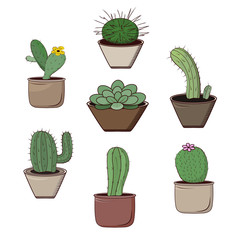 Cacti in pots isolated objects on a white background.