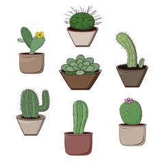 Poster Kaktus im Topf Kakteen in Töpfen isolierte Objekte auf weißem Hintergrund.