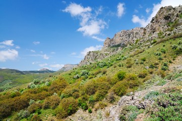Fototapeta premium Trees grow on top of rocky mountain