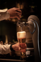 Close up chrome tap bartender holding a glass during pouring cold draft beer from dispenser, selective focus, background copy space, night time