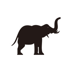 Elephant icon vector illustration sign
