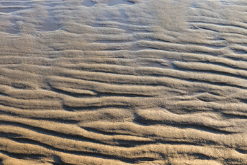 Wavy sand beach in low tide time