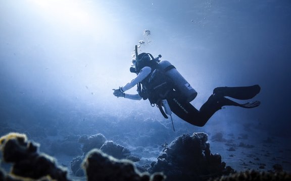 Full Length Of Person Scuba Diving In Sea