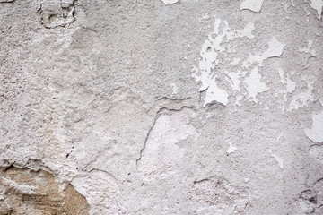 The structure of the old concrete wall in the cracks.