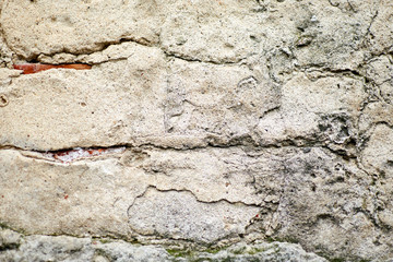 The structure of the old concrete wall in the cracks.