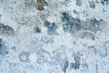 The structure of the old concrete wall in the cracks.
