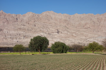 desert landscape somewhere at national road 40, the famous roadway that crosses all argentina