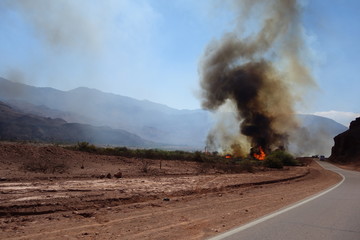 Forest fire in the dry valley on the way cafayate x salta, North of argentina