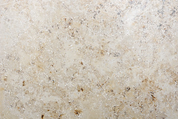texture of shellstone wall