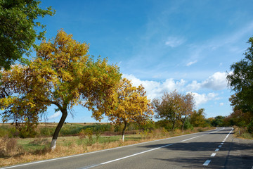 Sunny autumn day and suburban highway. Colorful leaves of trees along the autumn road, colors of leaf-fall. Autumnal landscape.