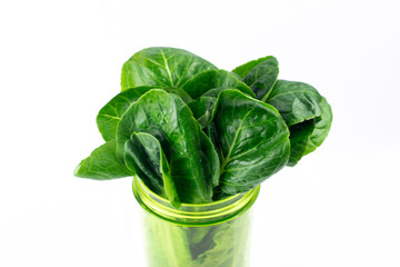 Bunch of Romaine lettuce in a transparent light green vessel. Healthy vegetarian food. Organic herbs