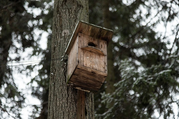 Early winter. The first snow. Birdhouse on the tree