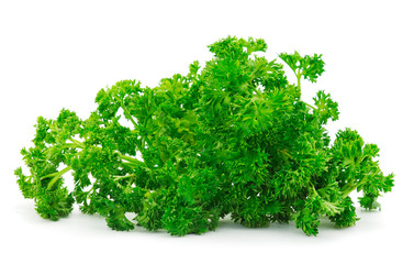 Fresh green organic parsley.