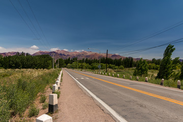 Andes mountain range seen from Uspallata