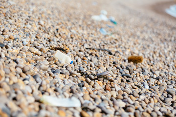 Fototapeta na wymiar Plastic Pollution on Chesil Beach in Dorset