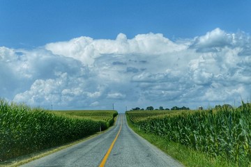 Corn field road