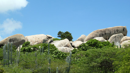 Beautiful view on rocks and cactuses in Aruba
