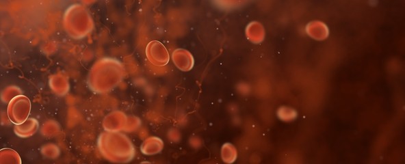 3D red blood cells in vein. Antivirus medical healthcare concept, wide screen web banner backgrounds - obrazy, fototapety, plakaty