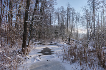 Winter landscape of frozen Lesna River