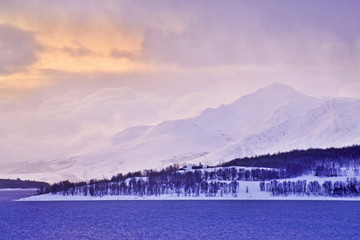 Kvaløya- Tromsø, Norway. © Tomasz Warszewski