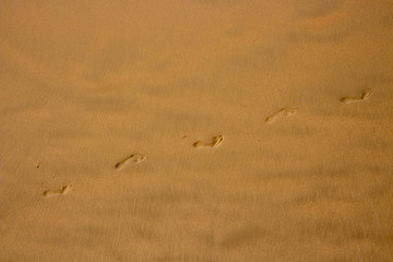 Beach shore sand with footsteps or footprint as yellow background wallpaper or texture
