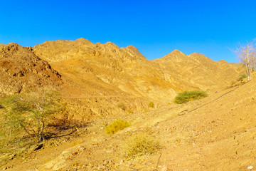 Desert landscape near Eilat