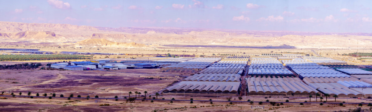 Countryside and desert landscape in Moshav Paran