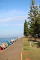 Breakwall Town Beach in Port Macquarie, New South Wales Australia