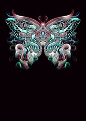 Butterfly illustration, artistic drawing