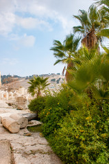 Ancient Ruins in Israel