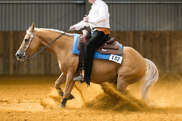 equestrian reining