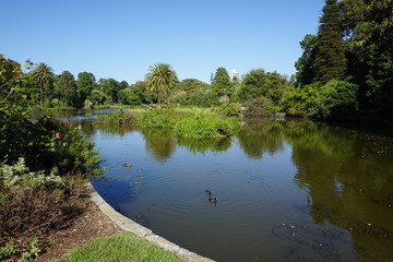 Ornamental  lake, Royal Botanic Gardens, Melbourne, Australia