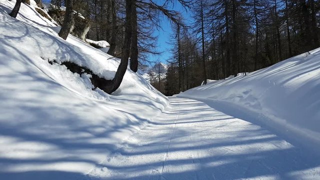 dans les bois enneig&eacute; - Suisse