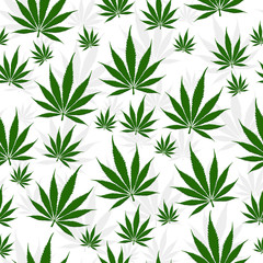 Fototapeta na wymiar Green Marijuana leaf seamless and repeat pattern background