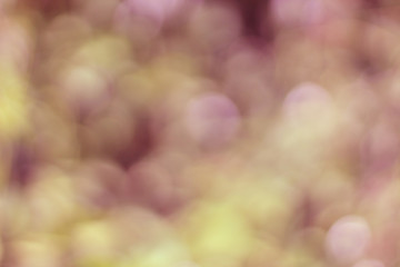 Natural light purple bokeh background from the front of the tree